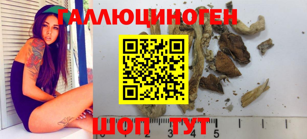 Псилоцибиновые грибы мухоморы Амурск