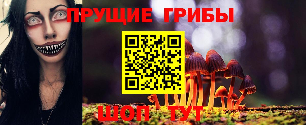 Галлюциногенные грибы Cubensis  Галлюциногенные грибы Magic Shrooms  Амурск  Вход с VPN 